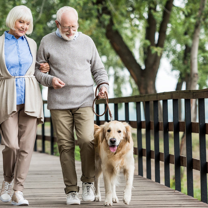 Falls Prevention: Small Steps That Can Help Protect Mobility and Independence