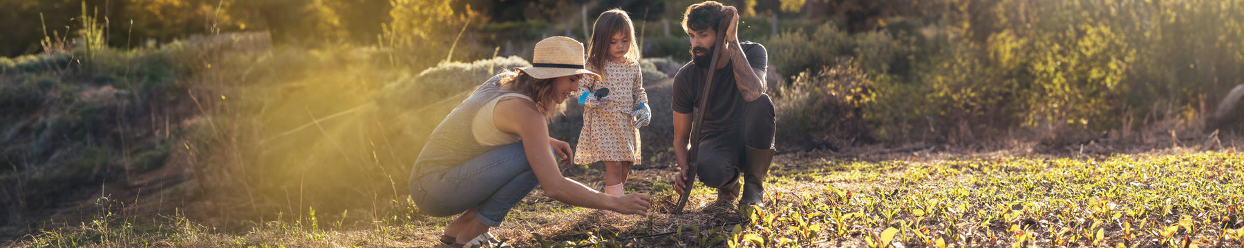 How to Manage Back Pain When You’re Working in the Garden