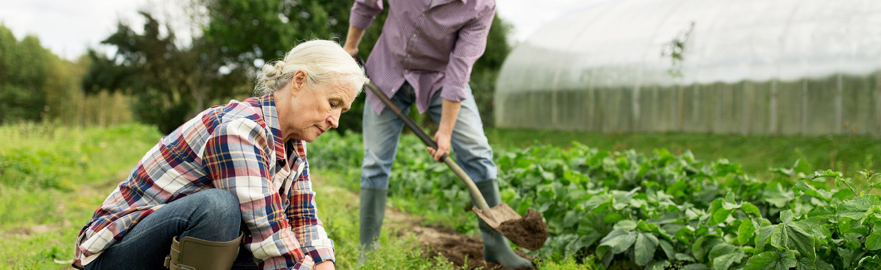 How to Prevent Gardening Injuries