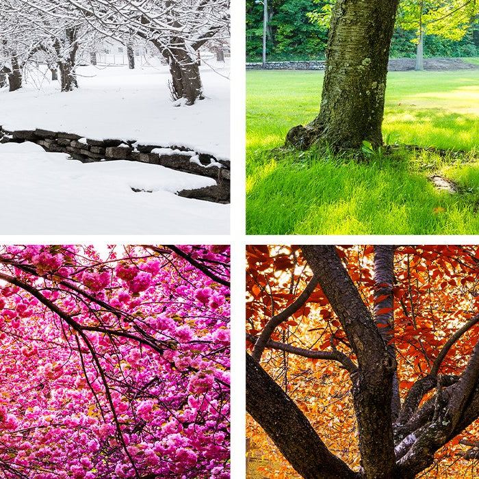 New Study Finds Birth Season Related to Specific Adult Character Traits