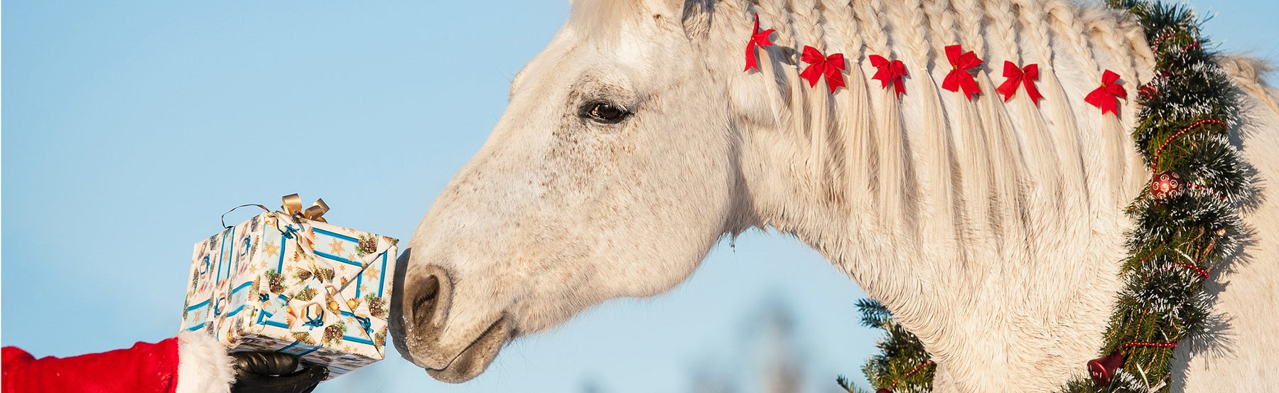 10 Holiday Gifts for Equestrians in 2020