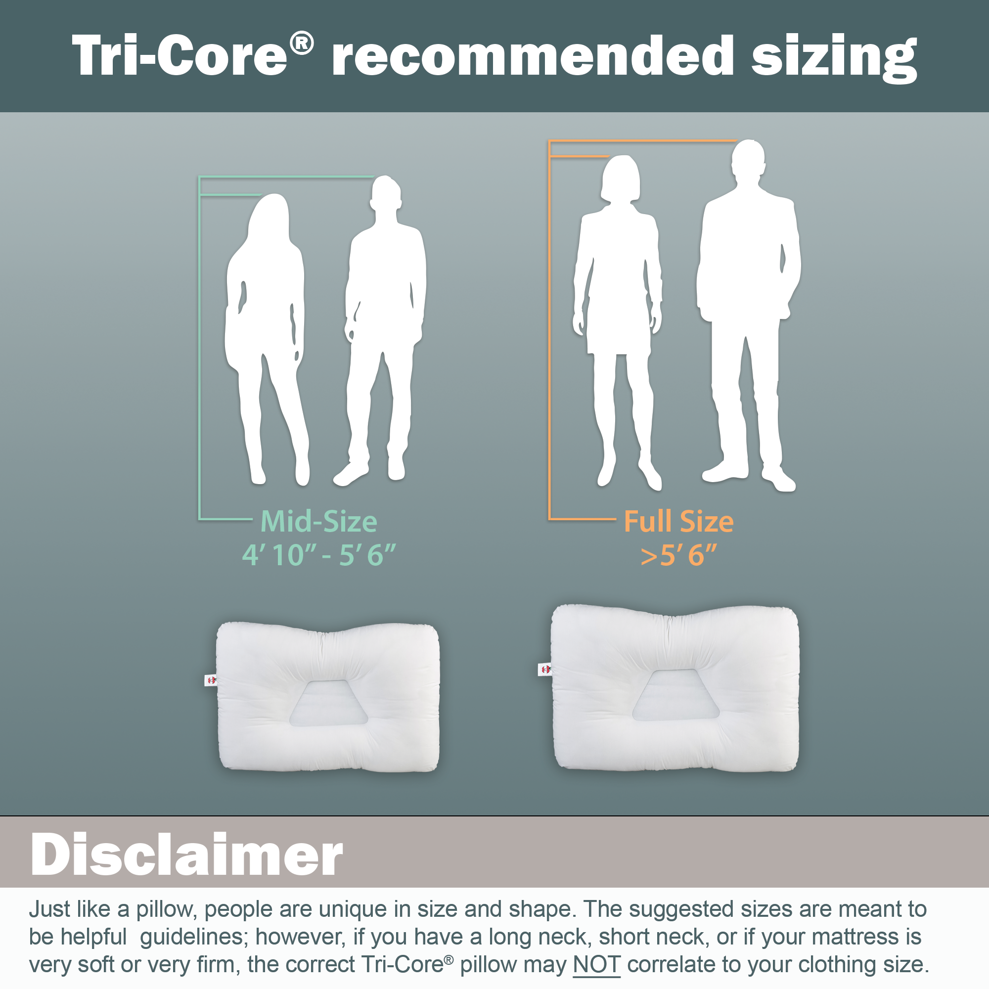 Tri-Core Natural Cervical Support Pillow with Premium Organic Cotton Shell