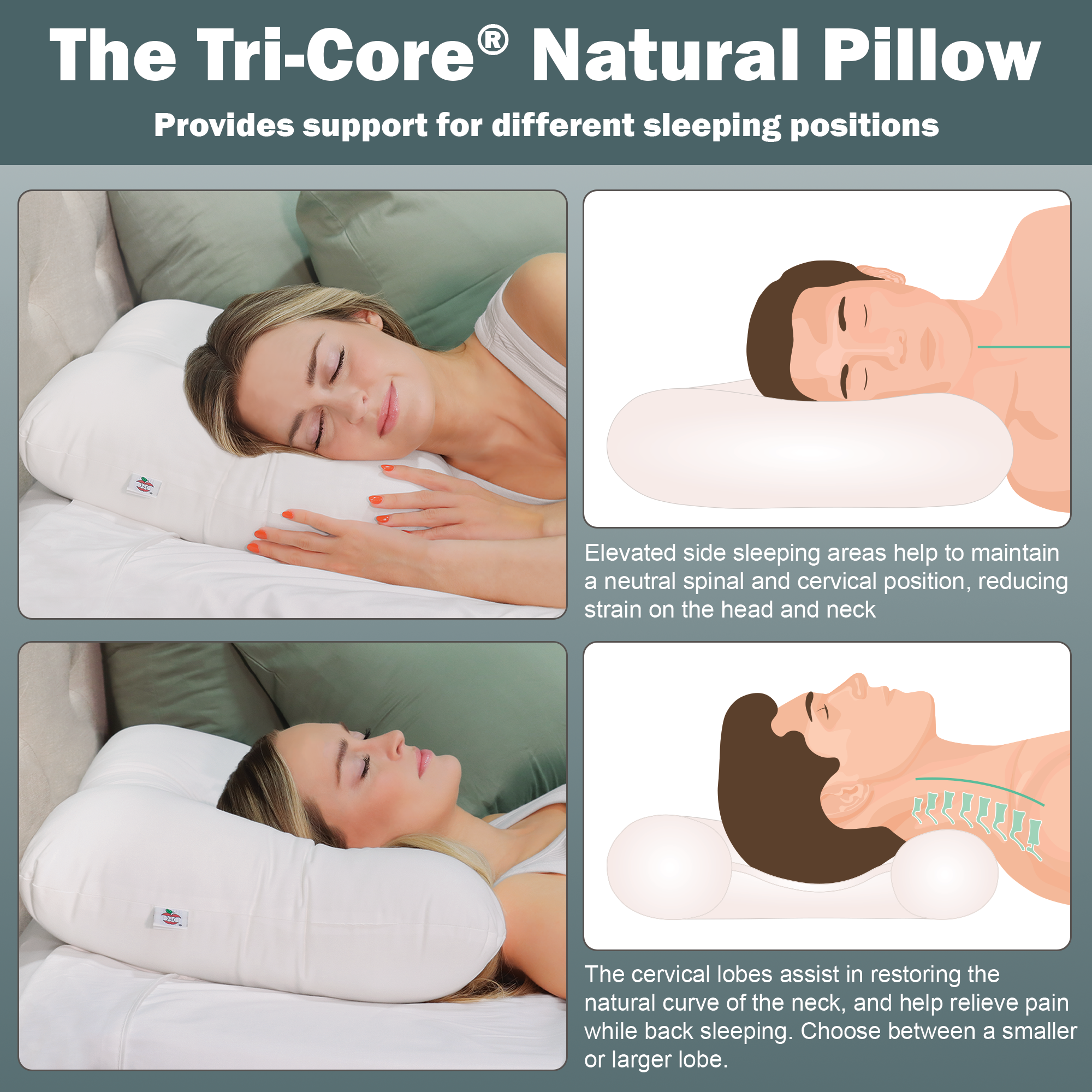 Tri-Core Natural Cervical Support Pillow with Premium Organic Cotton Shell