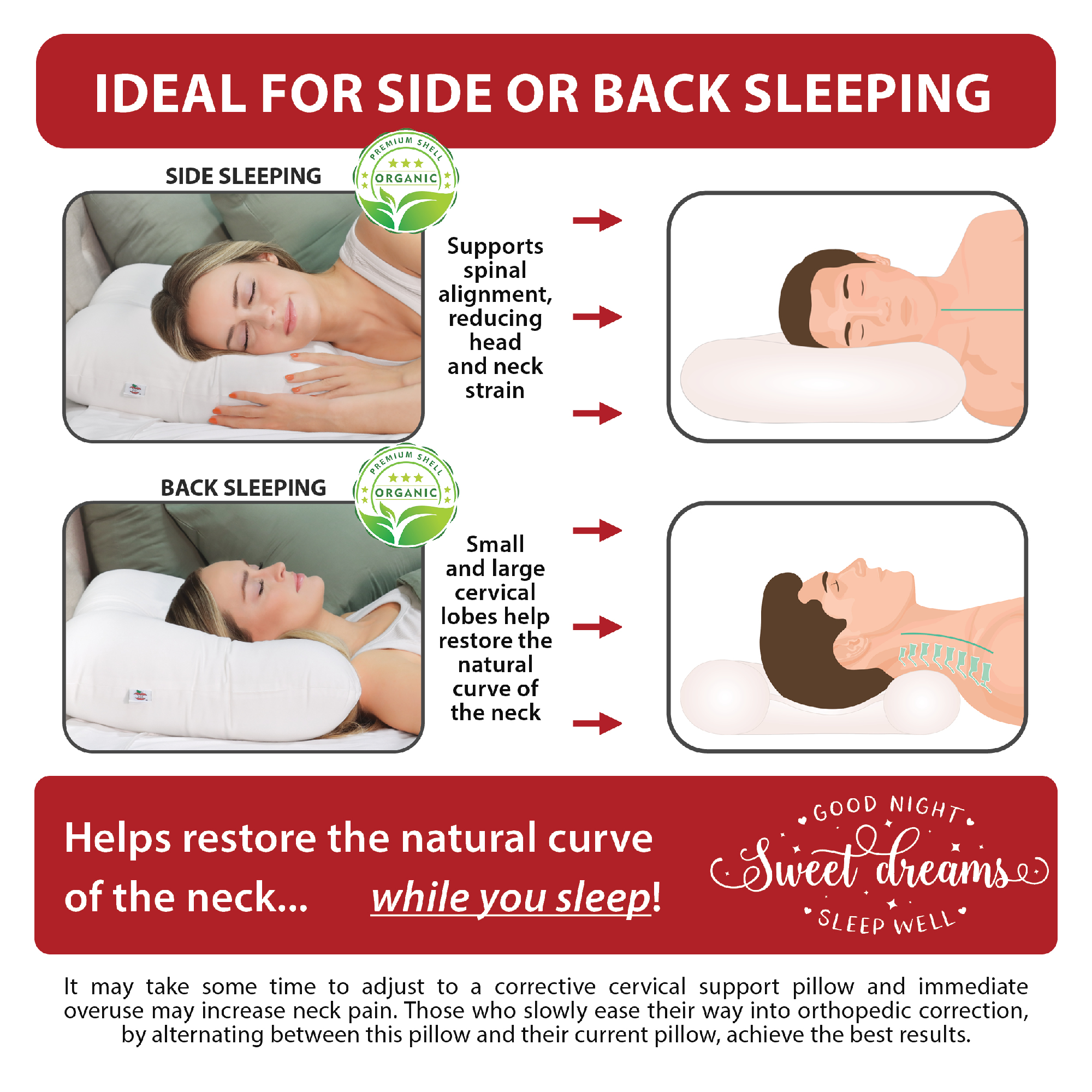 Tri-Core Natural Cervical Support Pillow with Premium Organic Cotton Shell