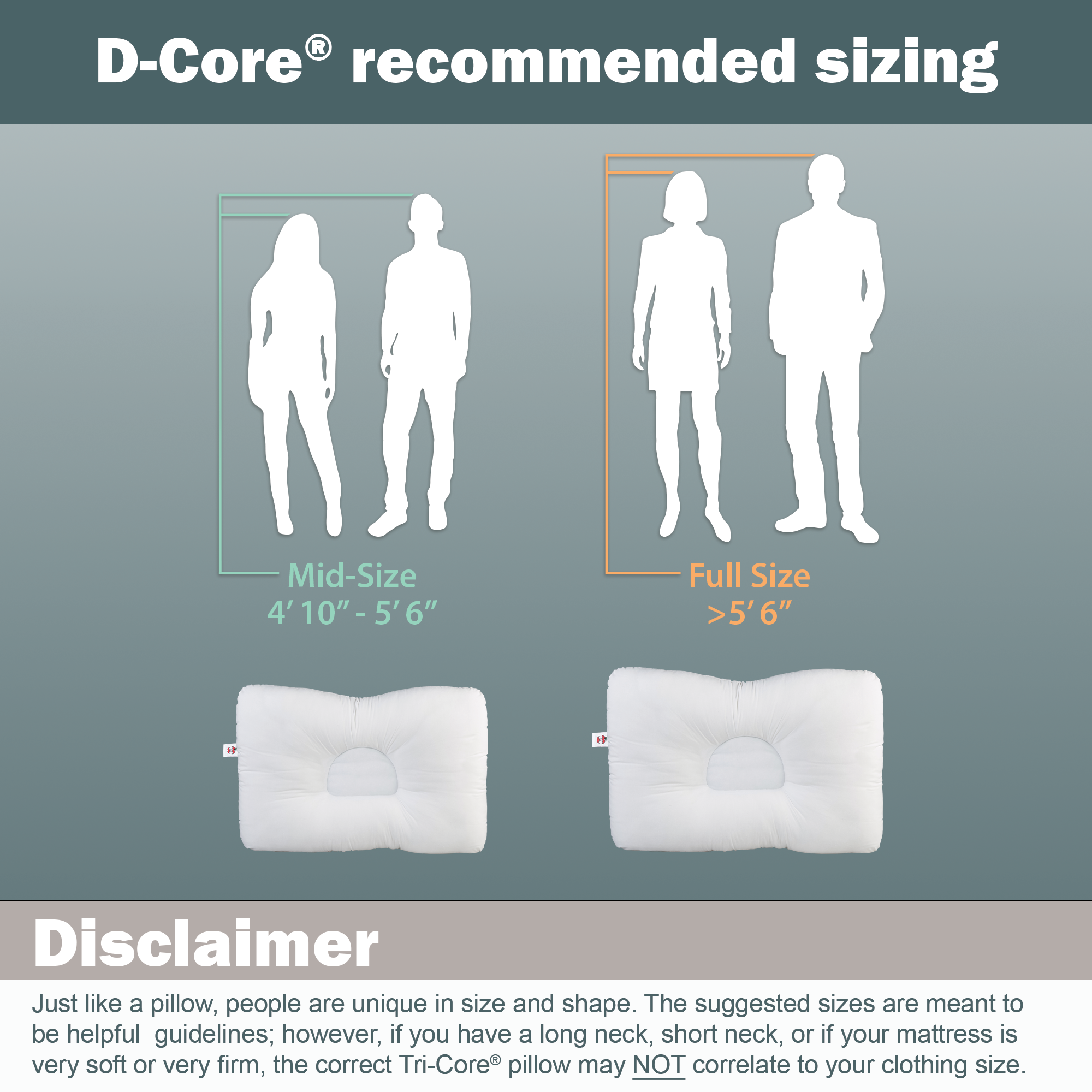 D-Core Cervical Support Pillow